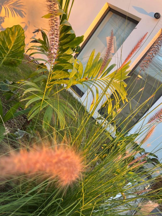 L'Empreinte-Oasis De Serenite Au Coeur D'Un Jardin Tropical Le Tampon Eksteriør bilde